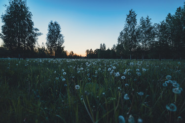 Similar image 22112402