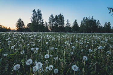 Similar image 22113084