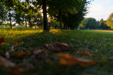 Similar image 22113497