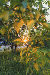 Similar image 22113614