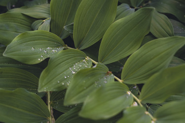 Similar image 22113653