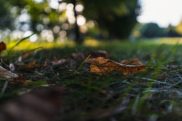 Similar image 22117582