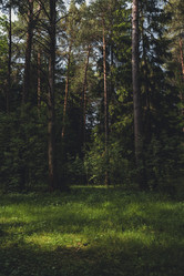 Similar image 22117583