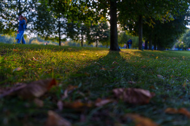 Similar image 22117584