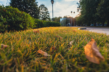 Similar image 22117585