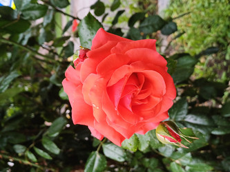 Similar image 22117664