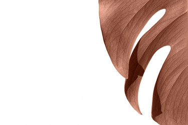 Similar image 22117977