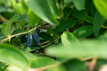 Similar image 22117978