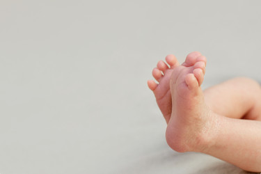 Similar image 22117982