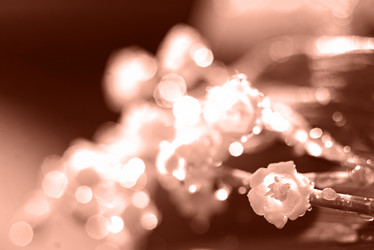 Similar image 22117983