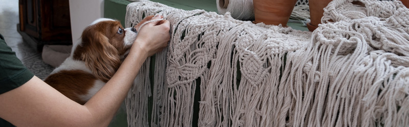 Similar image 22117992