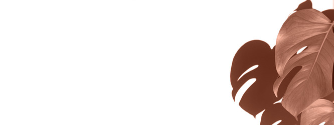 Similar image 22117993