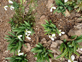 Similar image 22117665