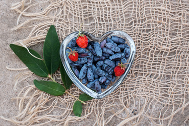 Similar image 22117998