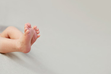 Similar image 22117999