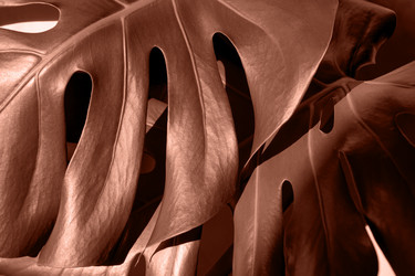 Similar image 22118005