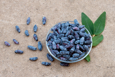 Similar image 22118007