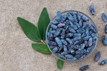 Similar image 22118034