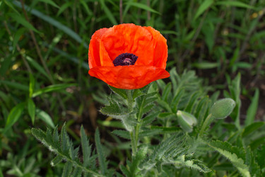 Similar image 22118054