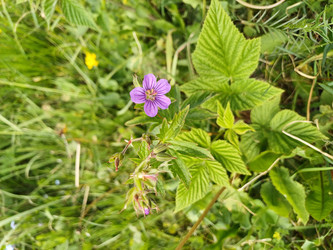 Similar image 22117667