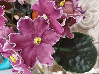 Similar image 22117668