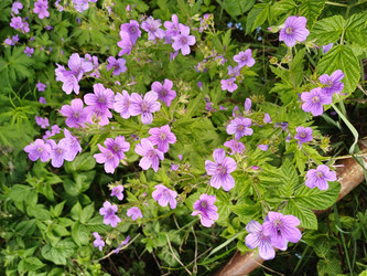 Similar image 22117670