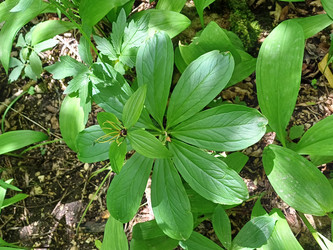 Similar image 22117671