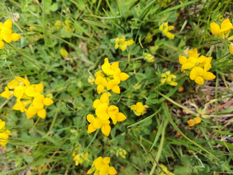 Similar image 22117672