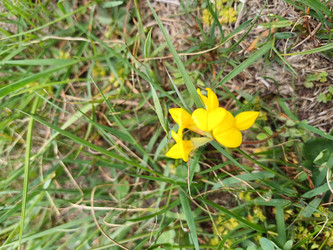 Similar image 22117673