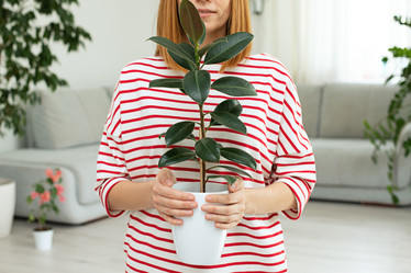 Similar image 22118063