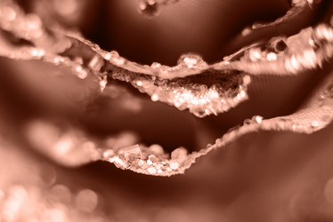 Similar image 22118065