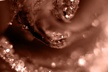 Similar image 22118067