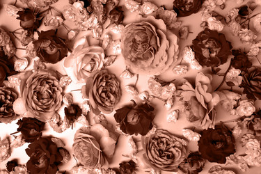 Similar image 22118072