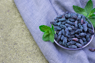 Similar image 22118073