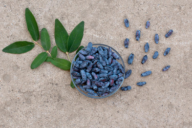 Similar image 22118077