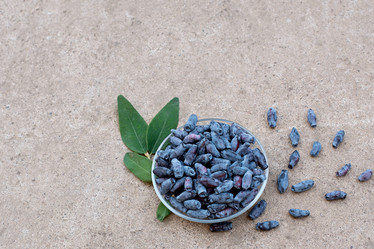 Similar image 22118081