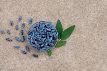 Similar image 22118083