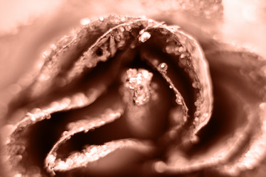 Similar image 22118087