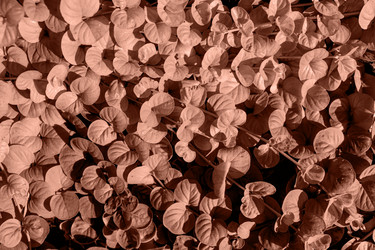 Similar image 22118107