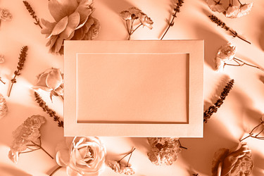 Similar image 22118117