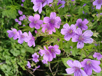 Similar image 22117675