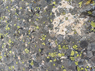 Similar image 22117676