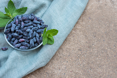 Similar image 22118118