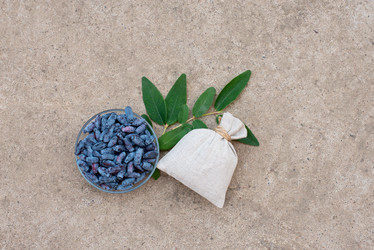 Similar image 22118121