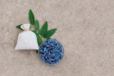 Similar image 22118122