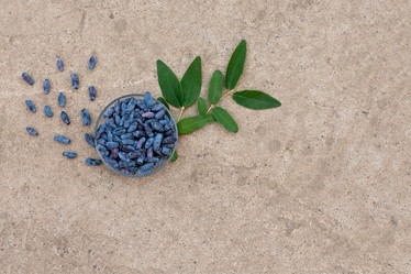 Similar image 22118125