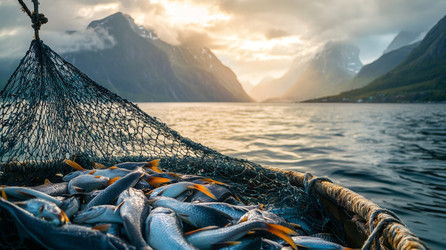 Similar image 22124213