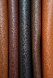 Similar image 22113893