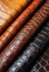 Similar image 22119018