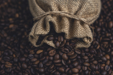 Similar image 22113501